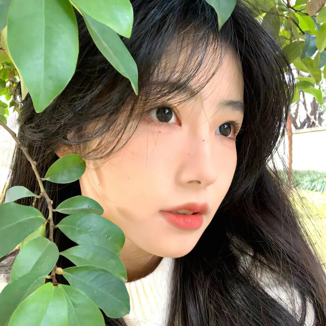 女生万岁第二季